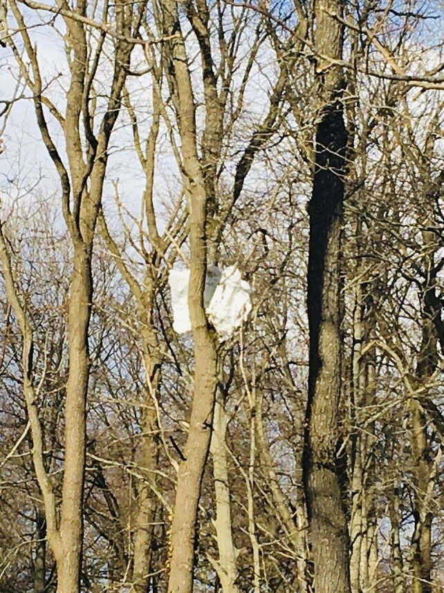 F&uuml;nf Jahre alte Sprengreste im Wald