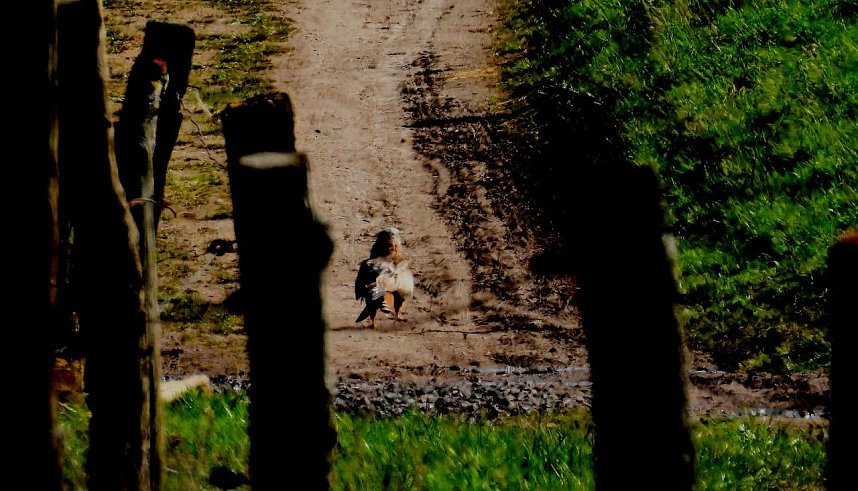 Ausflug in die Windl&uuml;cke