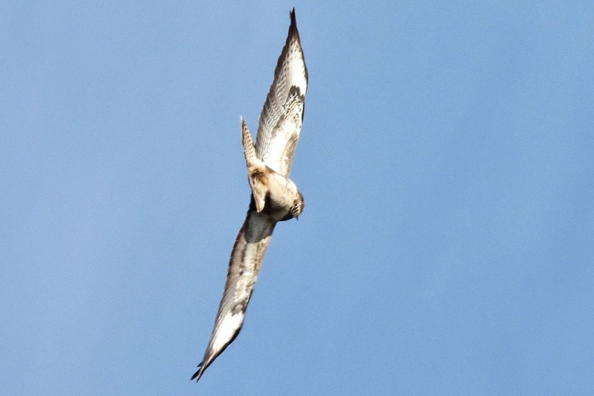 Ausflug in die Windl&uuml;cke