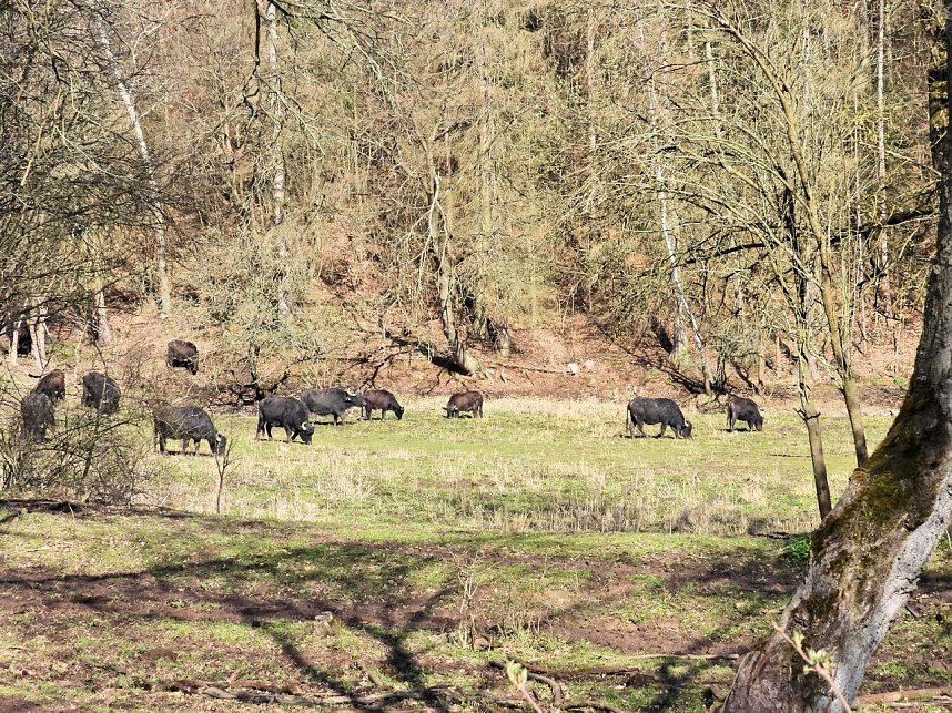 Ausflug in die Windl&uuml;cke