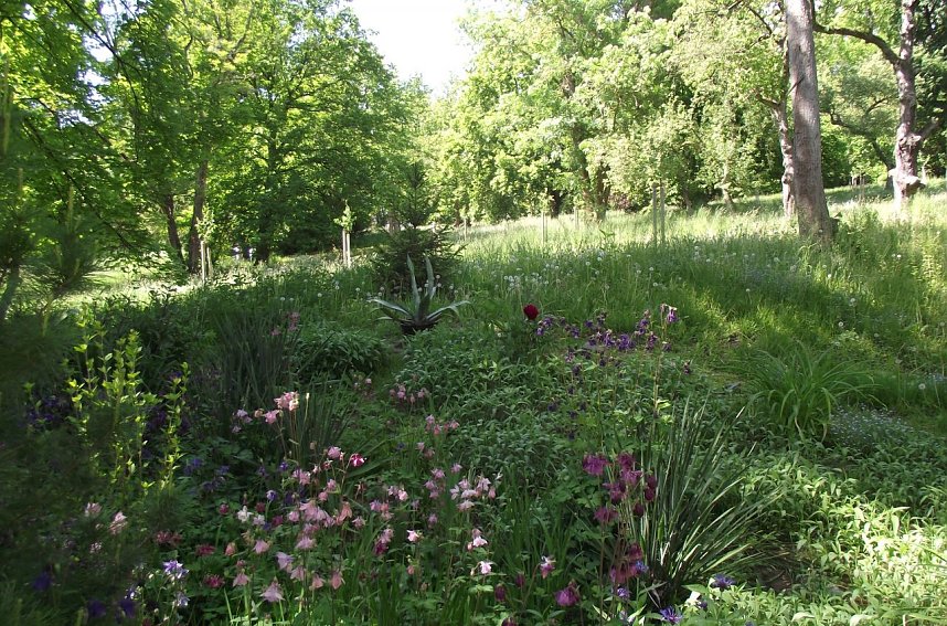 Erholsam und entspannend ist zu jeder Jahreszeit ein Besuch im Park Hohenrode.