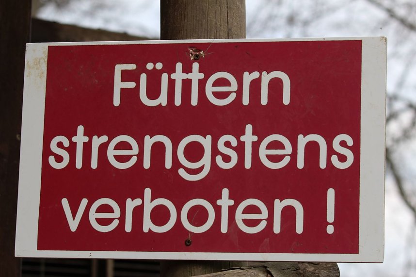 Besuch im Affenpark Strau&szlig;berg