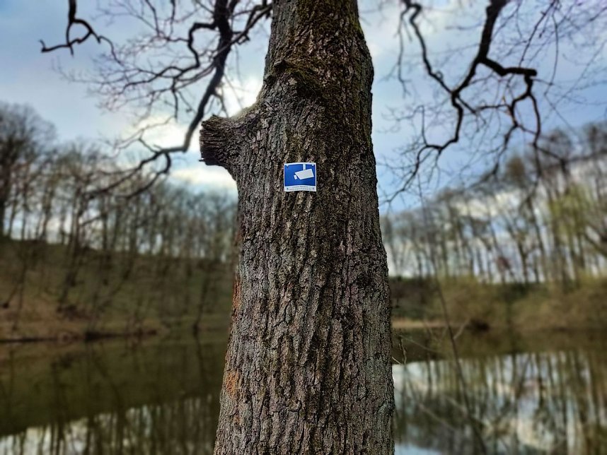 Peter Blei unterwegs in Steinsee