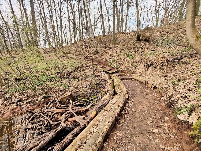 Peter Blei unterwegs in Steinsee