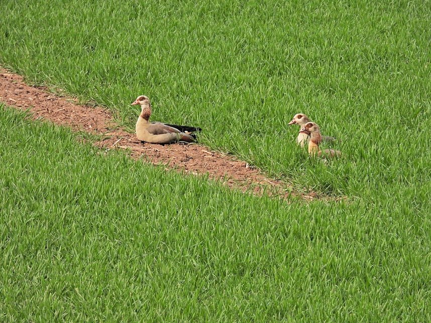 Peter Blei unterwegs in Steinsee