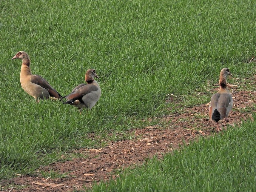 Peter Blei unterwegs in Steinsee
