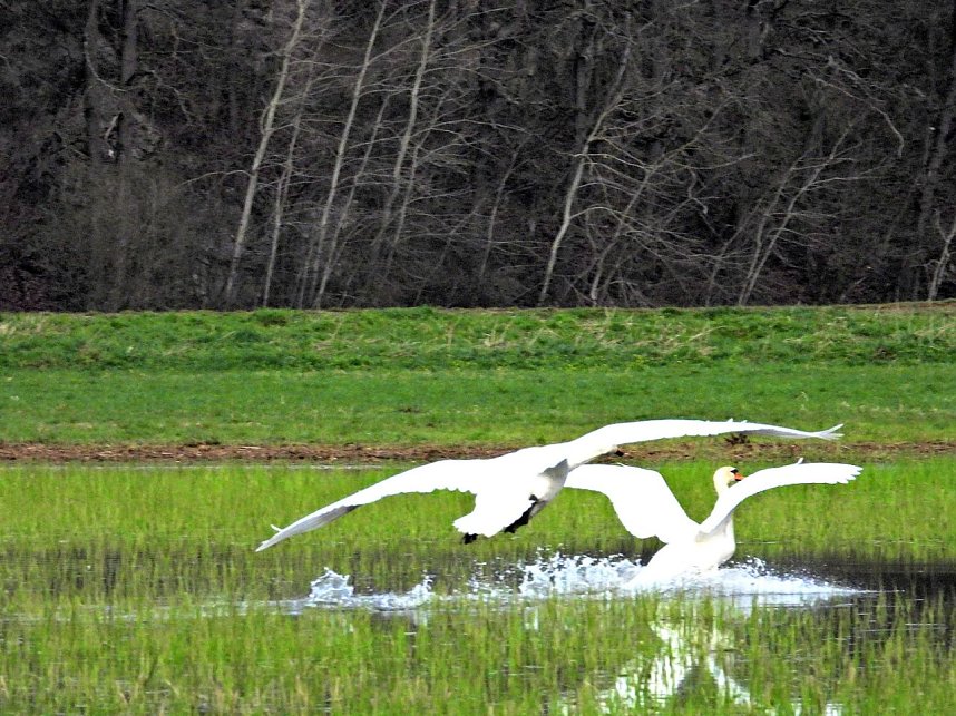 Peter Blei unterwegs in Steinsee