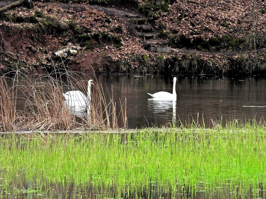 Peter Blei unterwegs in Steinsee