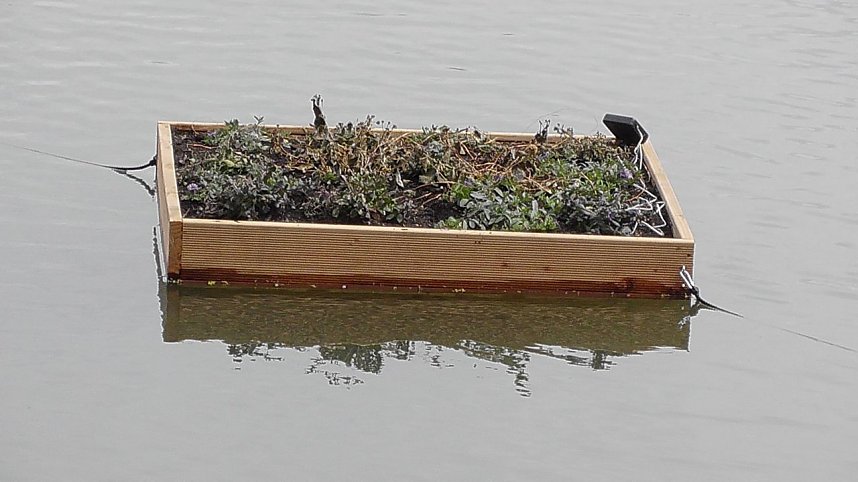 Schwimmende G&auml;rten 