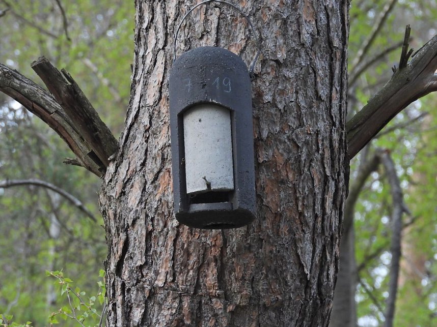 Peter Blei unterwegs bei Steigerthal