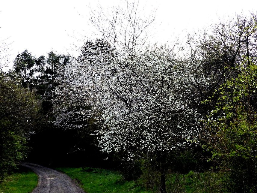 Peter Blei unterwegs bei Steigerthal