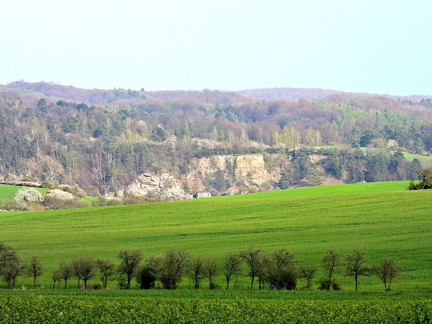 Peter Blei unterwegs bei Steigerthal