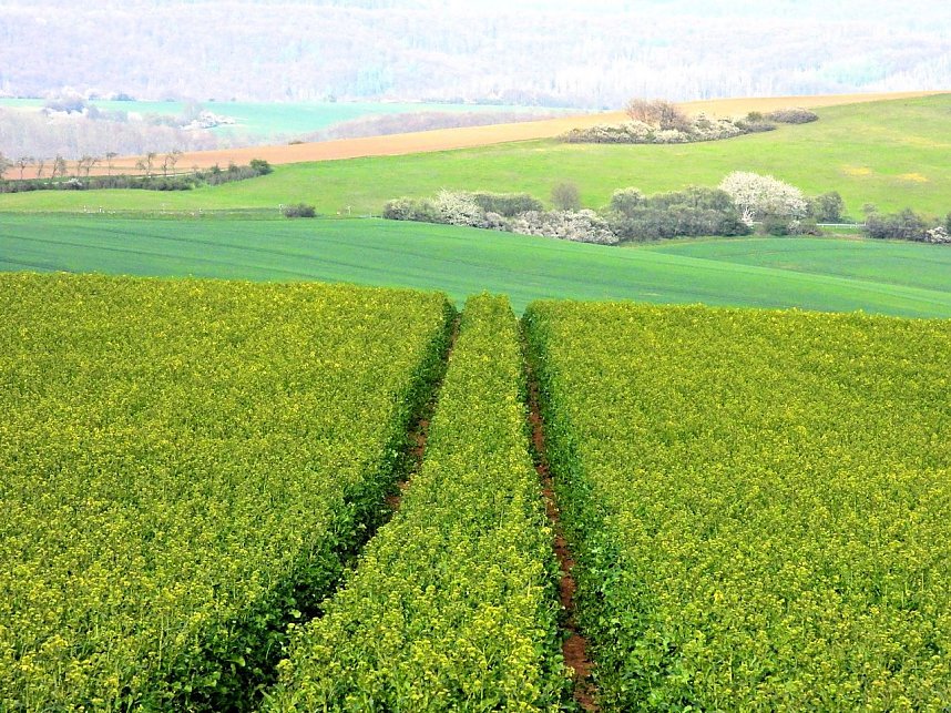 Peter Blei unterwegs bei Steigerthal