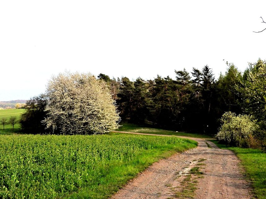 Peter Blei unterwegs bei Steigerthal