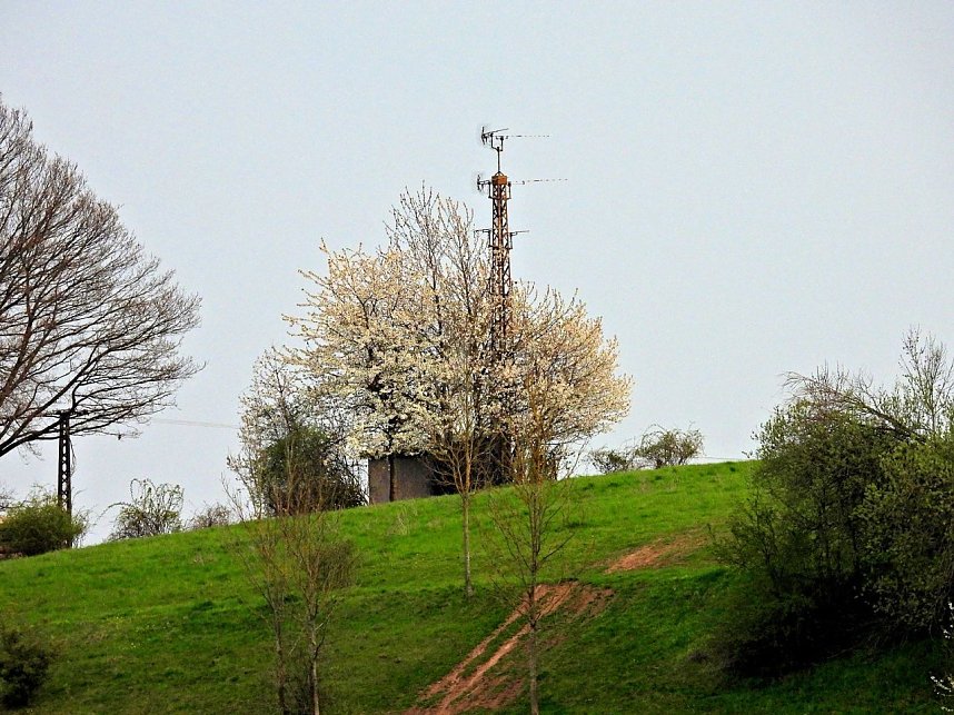 Peter Blei unterwegs bei Steigerthal