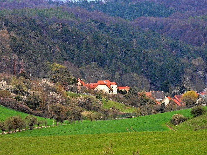 Peter Blei unterwegs bei Steigerthal