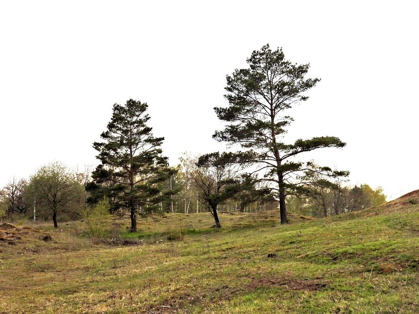 Peter Blei unterwegs bei Steigerthal