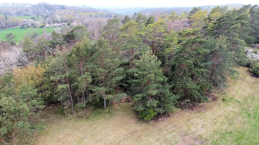 Peter Blei unterwegs bei Steigerthal