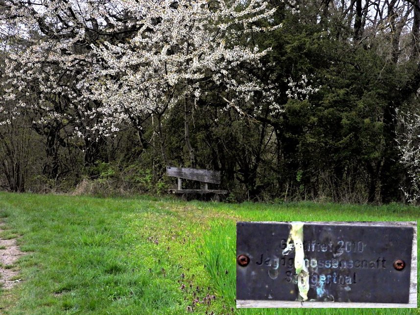 Peter Blei unterwegs bei Steigerthal