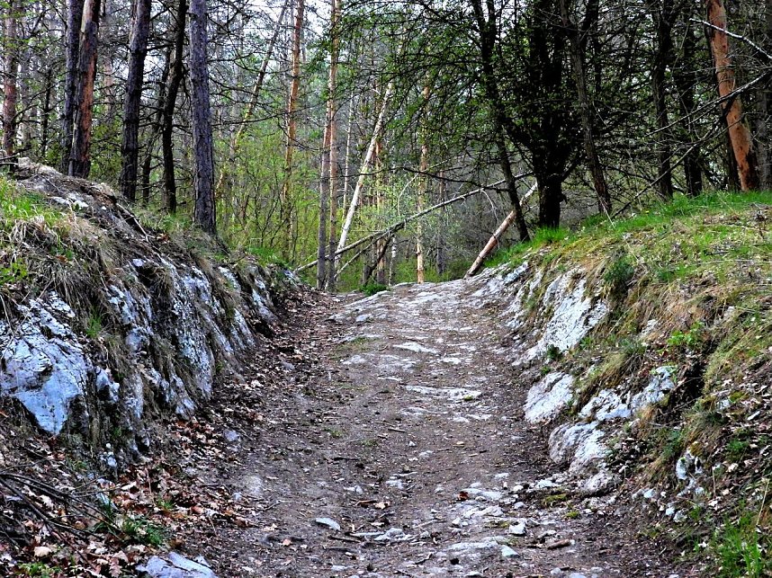 Peter Blei unterwegs bei Steigerthal