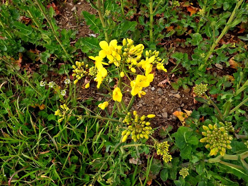 Peter Blei unterwegs bei Steigerthal