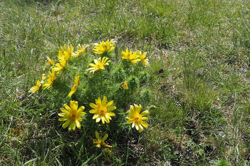 Unterwegs am Stausee Kelbra