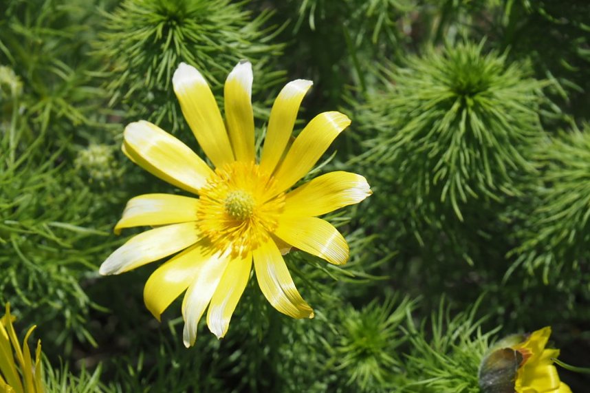 Unterwegs am Stausee Kelbra