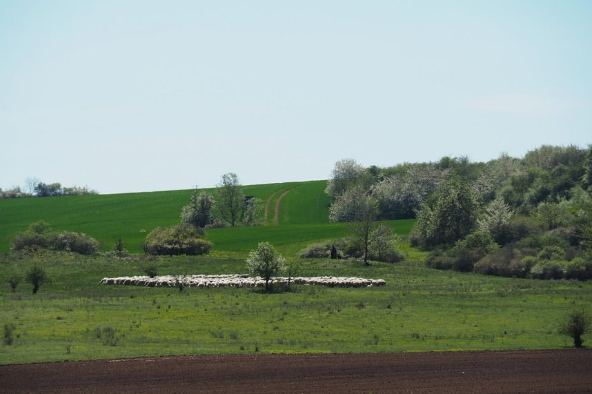 Unterwegs am Stausee Kelbra