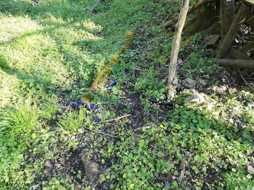 Borbachtungen zur Biodiversit&auml;t