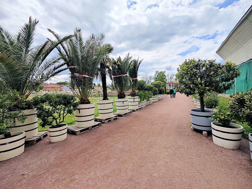 Impressionen aus Bendeleben