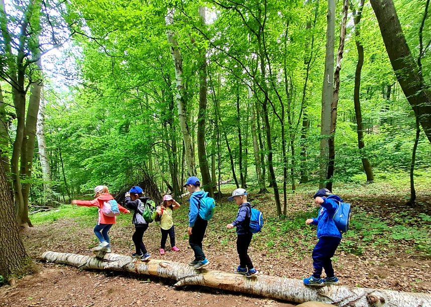 F&uuml;r die Kleinen der Kinderwelt am Frauenberg geht es endlich wieder in den Wald