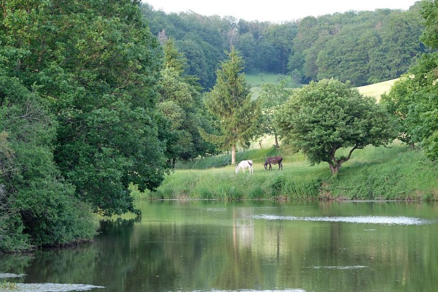 Abendstimmung am Rosenteich