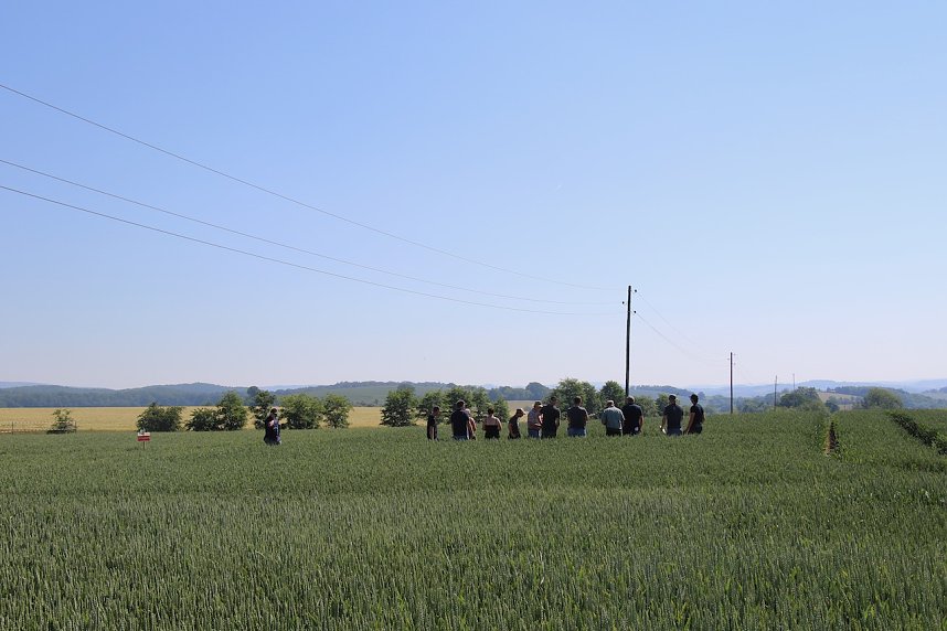 "Feldtag" bei Hochstedt