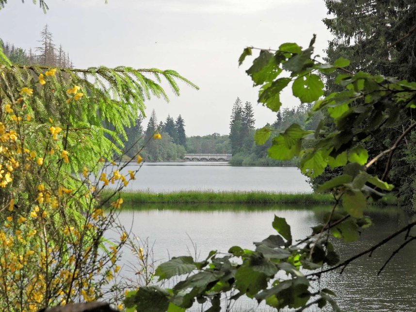 An der Neust&auml;dter Staumauer 