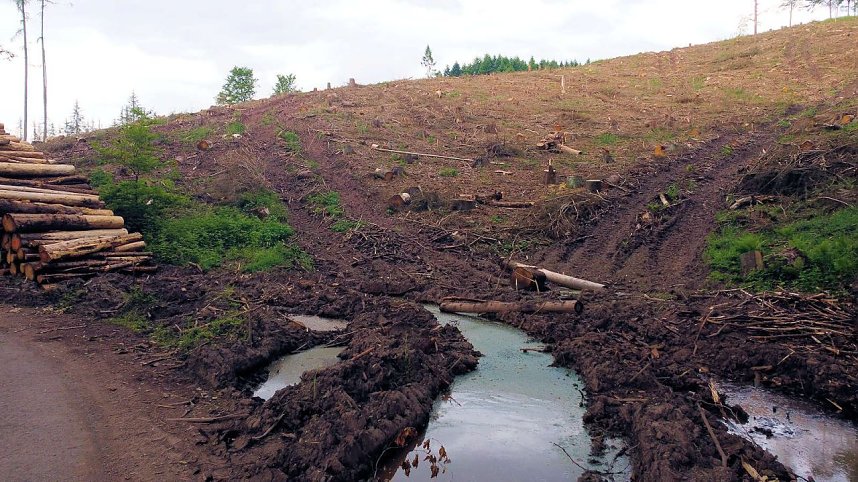 An der Neust&auml;dter Staumauer 