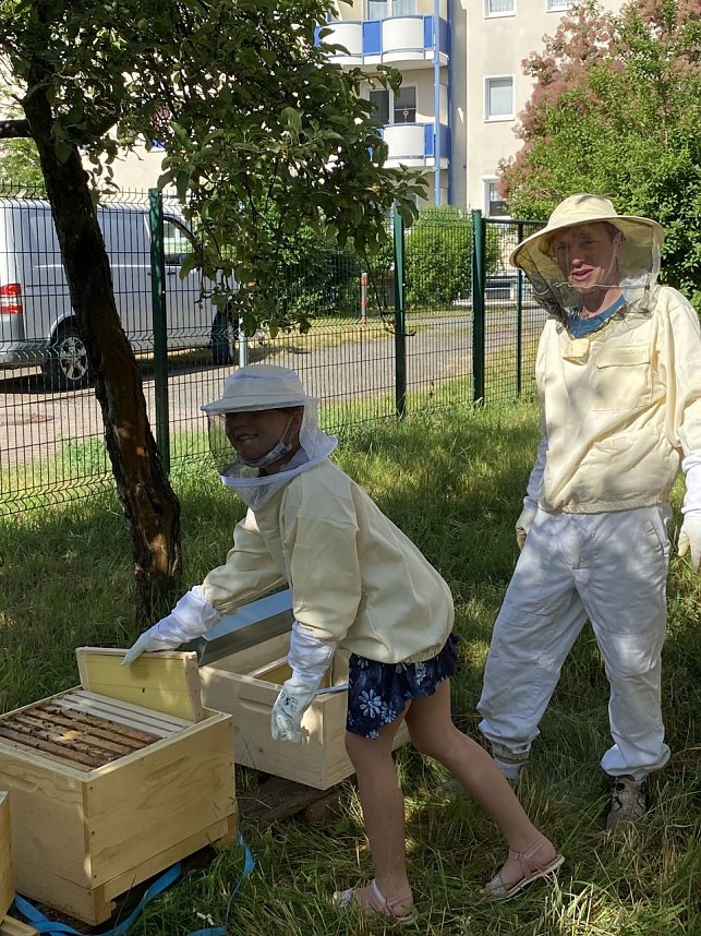 Bienen-Team