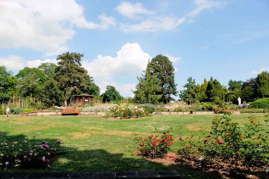 Kr&ouml;nung der Rosenk&ouml;nigin in Sangerhausen