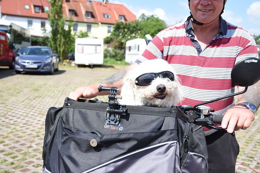 Sommerfest bei AS-Mayer