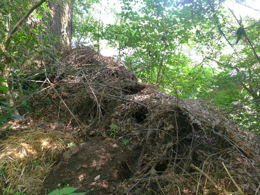 Gartenabf&auml;lle rund eine alte Eiche in Nordhausen-Nord