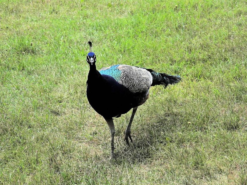 Im W&ouml;rlitzer Park