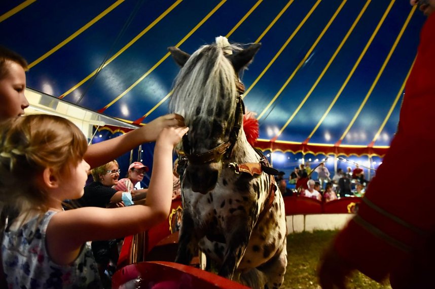 Zirkus Atlantik in Sundhausen
