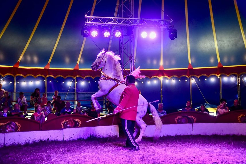Zirkus Atlantik in Sundhausen