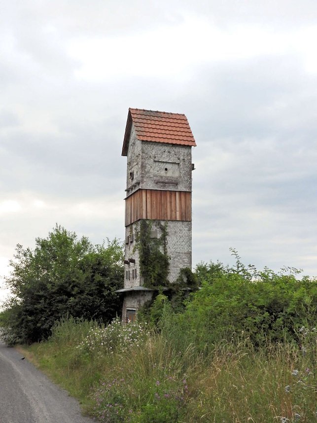 Die alte W&uuml;stung am Schlossberg