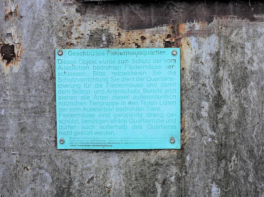 Die alte W&uuml;stung am Schlossberg