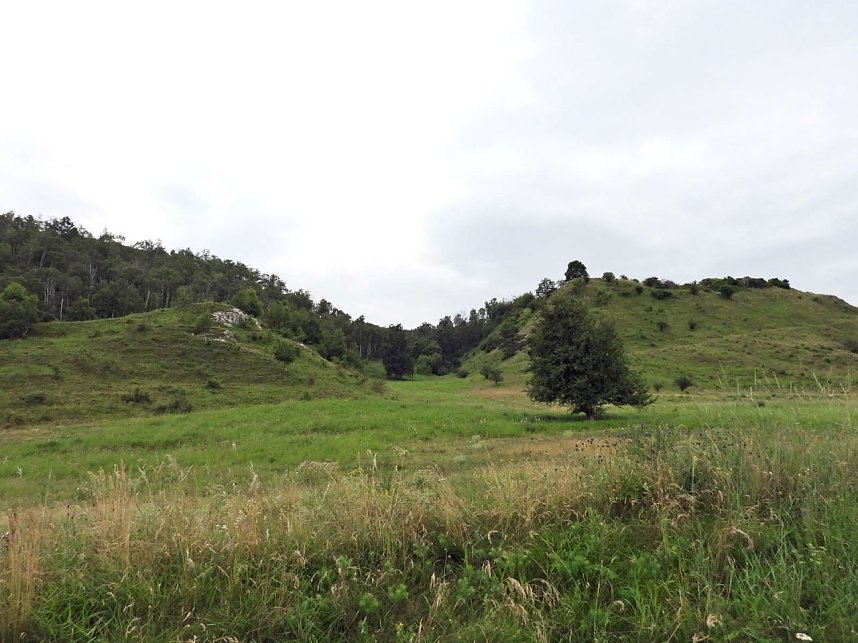 Die alte W&uuml;stung am Schlossberg