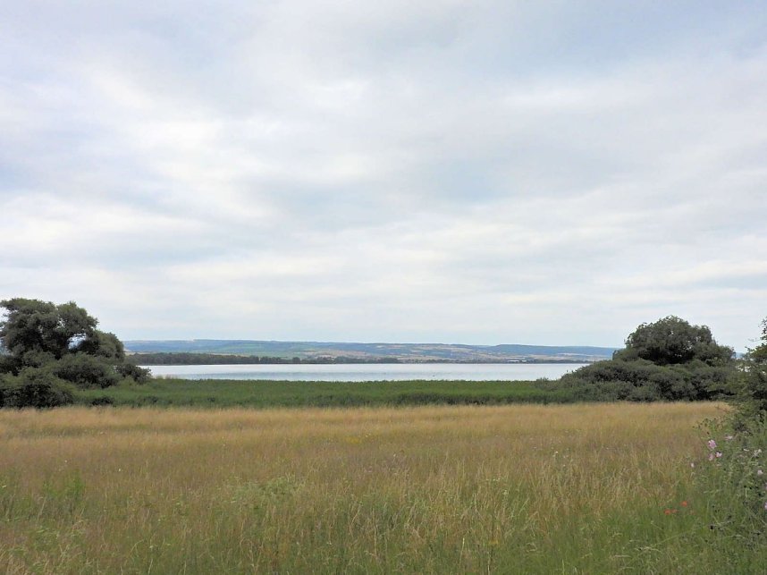 Die alte W&uuml;stung am Schlossberg