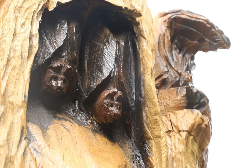 Unterwegs auf dem "Urwaldpfad"