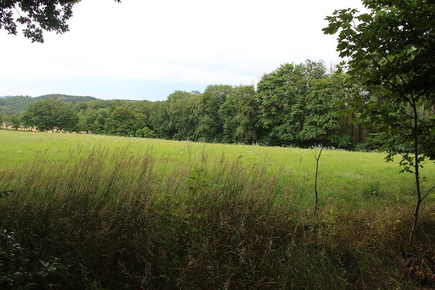 Unterwegs auf dem "Urwaldpfad"