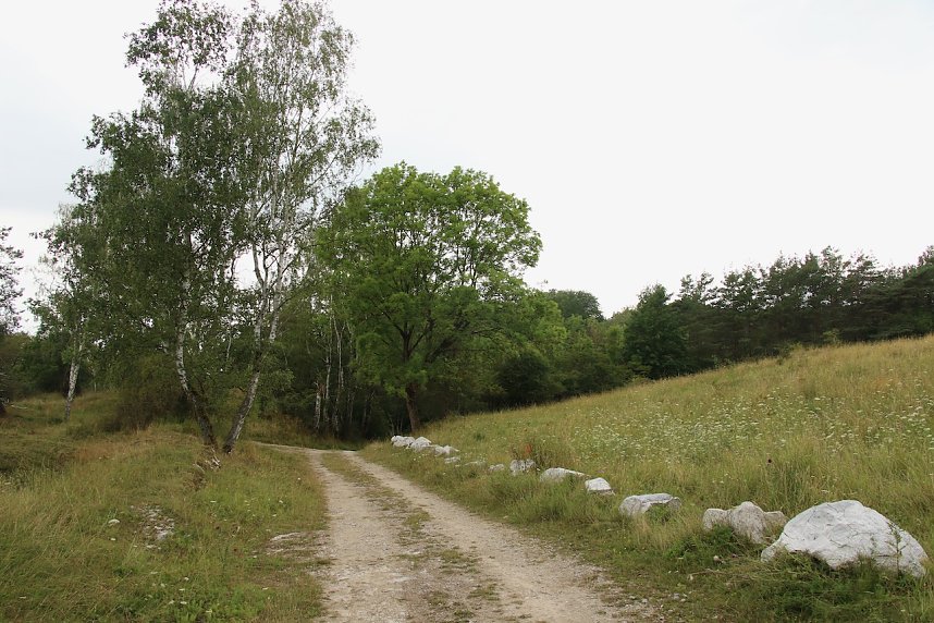 Unterwegs auf dem "Urwaldpfad"
