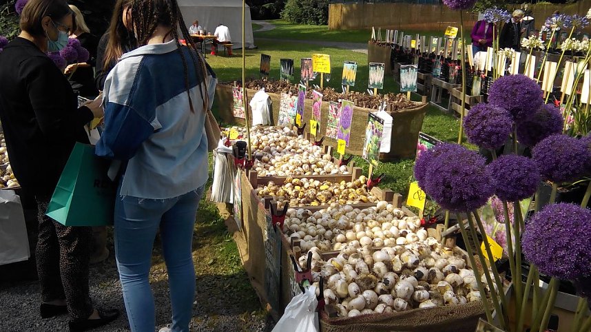 Landpartie Schloss B&uuml;ckeburg